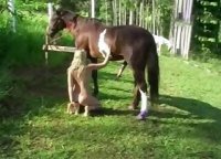 На природе эту девчонку сильно отымел конь