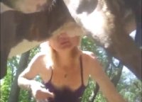 Русская проститутка беззаботно отсасывает собаке